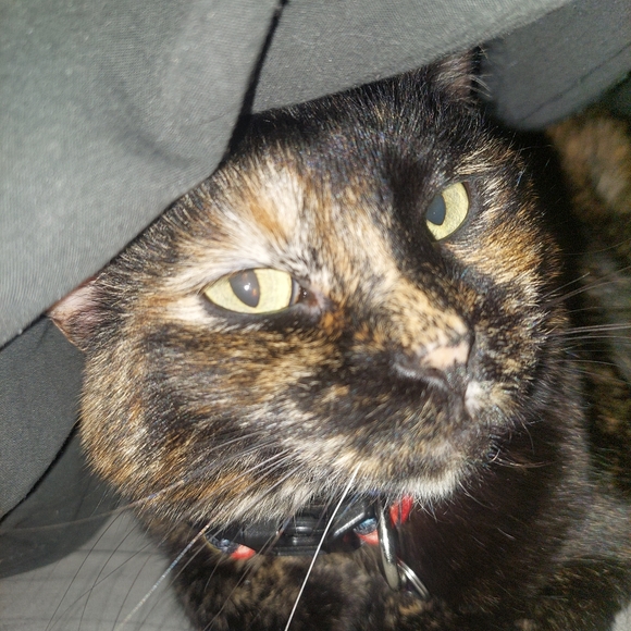 About me - Picture 3 of 5